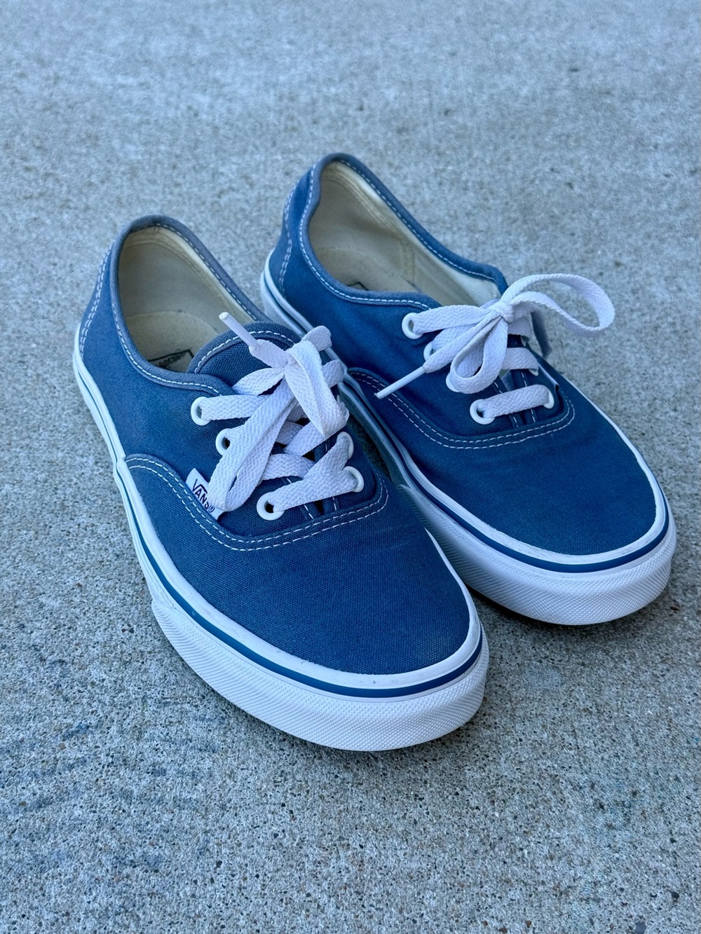 Vans Navy Canvas Low-Top Sneakers with White Accents